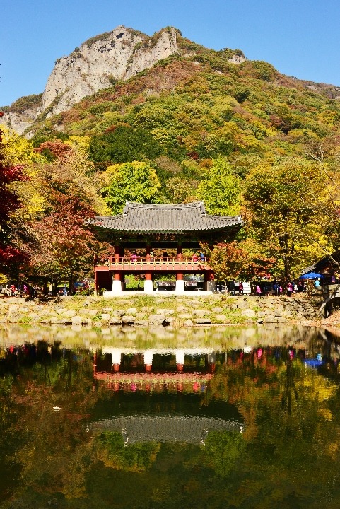 백양사 이미지
