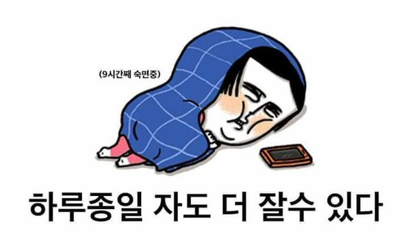 당신은 집돌이 or 집순이 입니까?? | 인스티즈