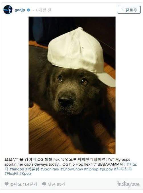 ㅔ의 존재를 모르는 연예인 | 인스티즈