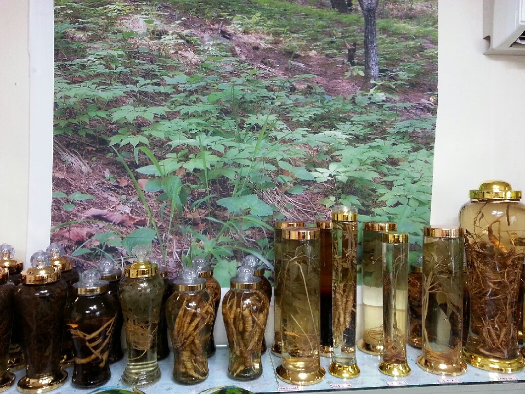 산양산삼 이미지