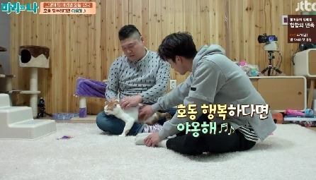 [마리와나] 뚱보냥 호동이 다이어트 시키기 (feat.먼지) | 인스티즈