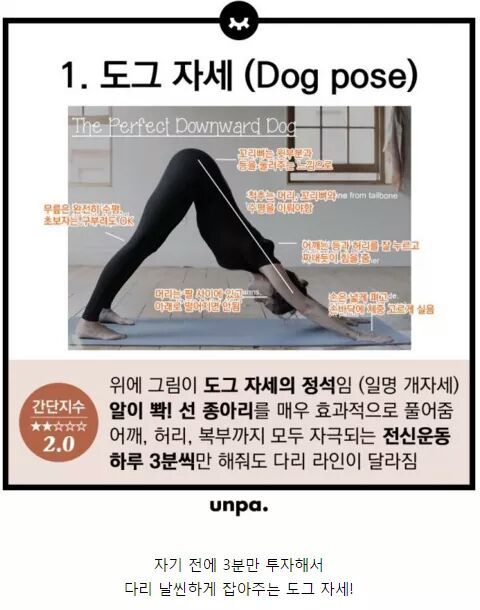 알아서 살 빠지는 자세 모음 | 인스티즈
