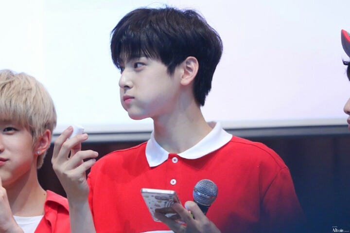 우야 이미지