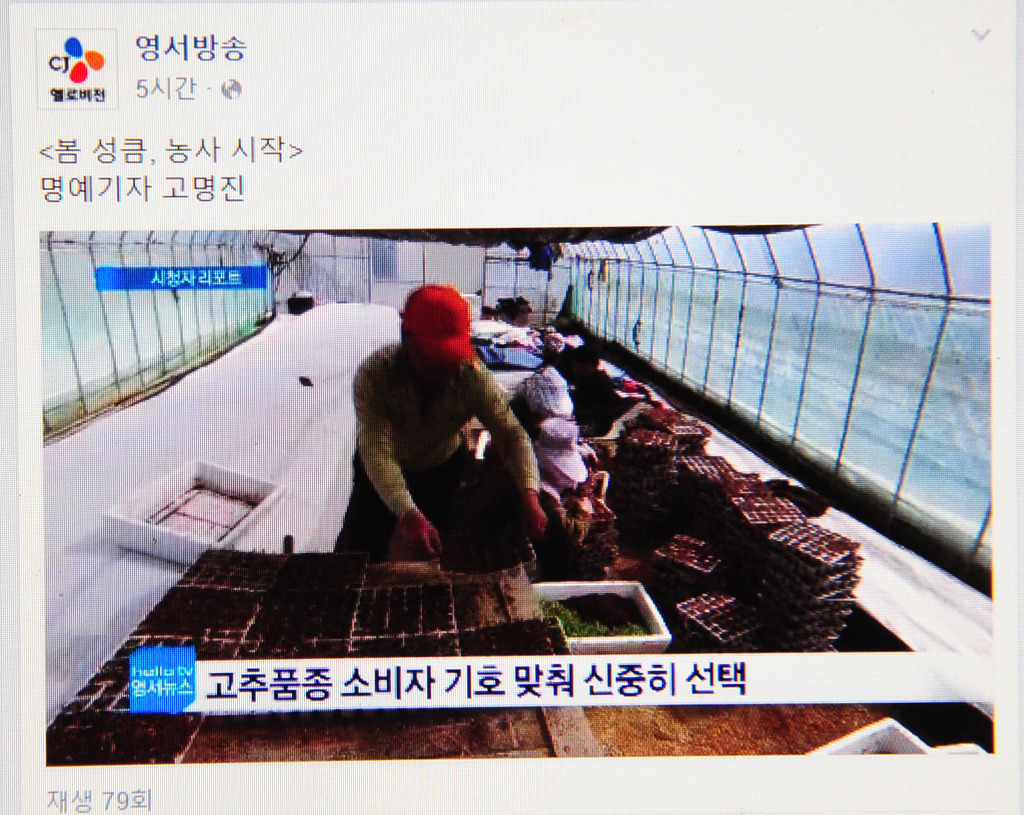 헬로비젼 이미지