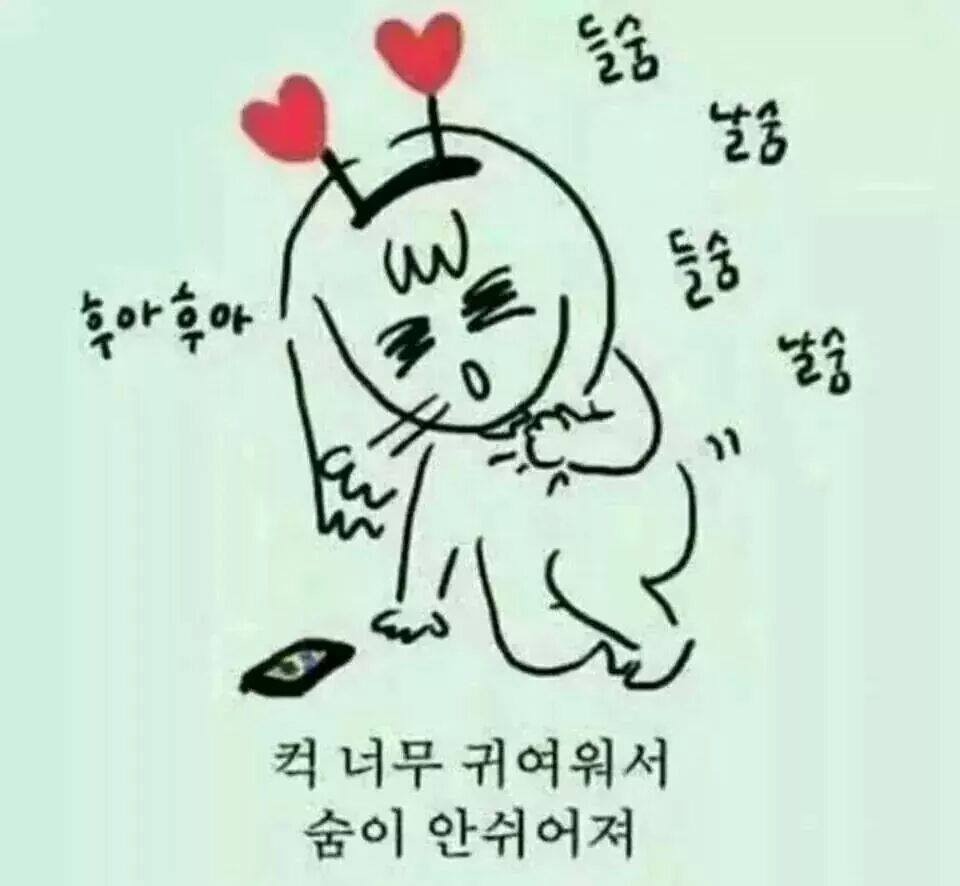 바다랑놀자 이미지