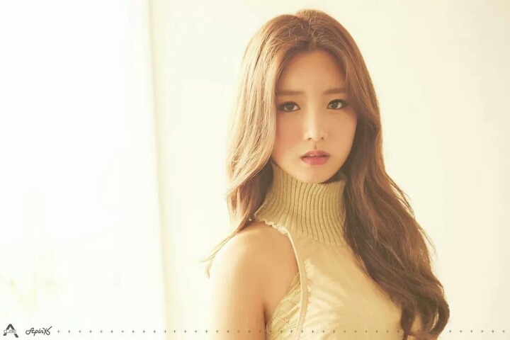 뽐 이미지