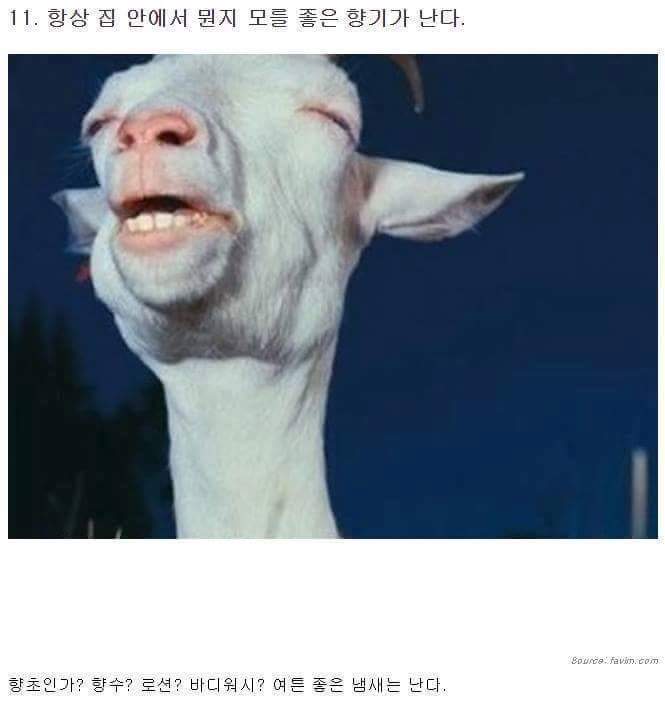 여자와 같이 살면 생기는 일들 | 인스티즈