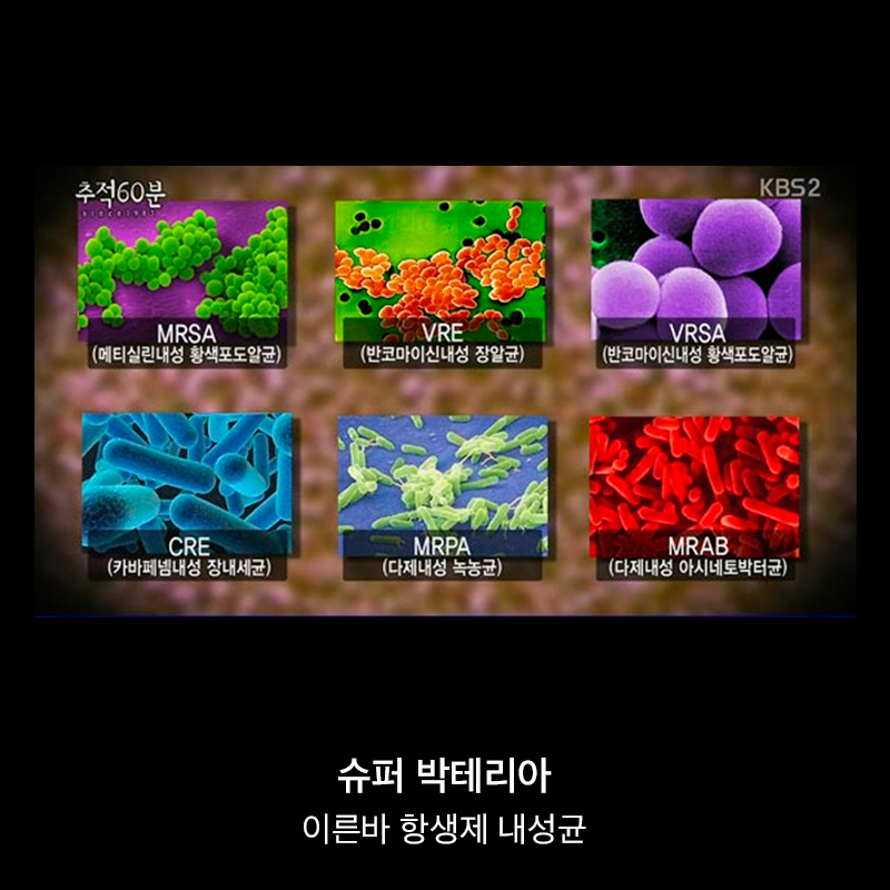 항생제의 역습 | 인스티즈