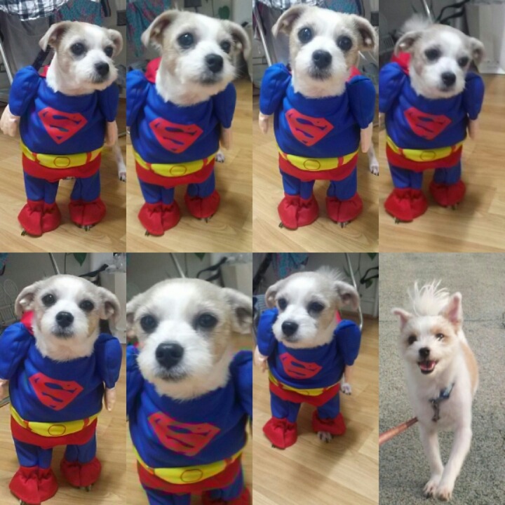 또또 이미지