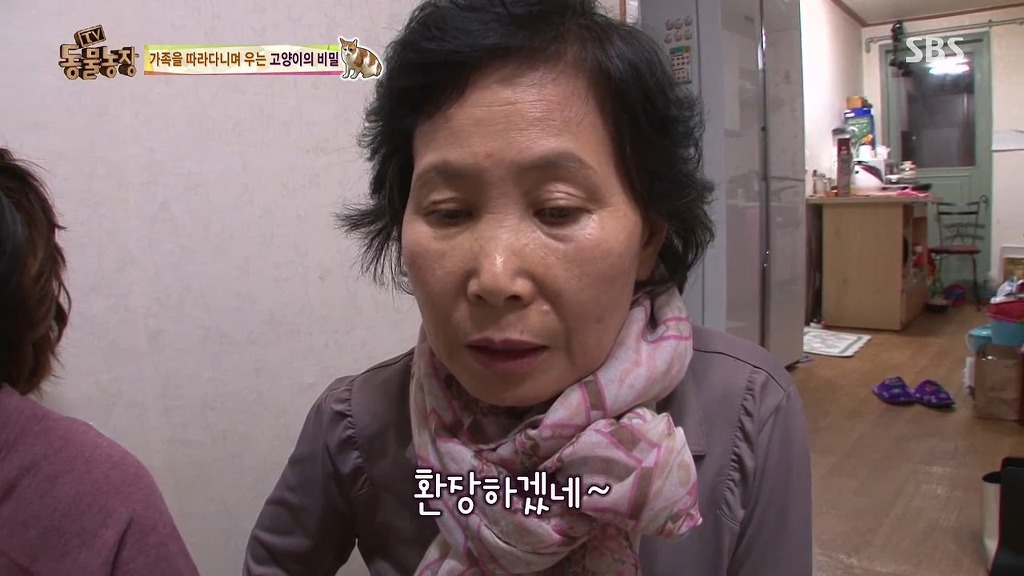 [동물농장] 존트 할말 다 하고 사는 수다쟁이 고양이 쪼롱이ㅋㅋㅋㅋ.jpg | 인스티즈