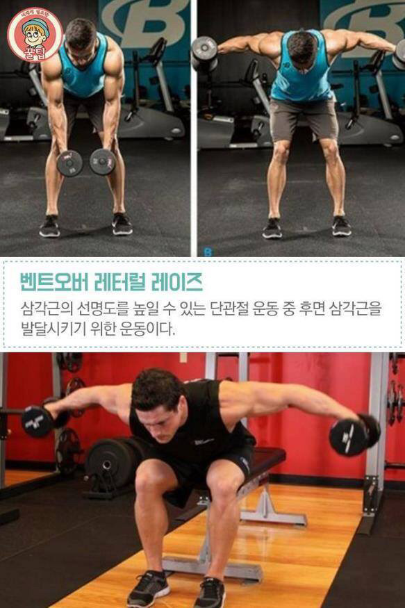 어깨 넓어지는 법 | 인스티즈