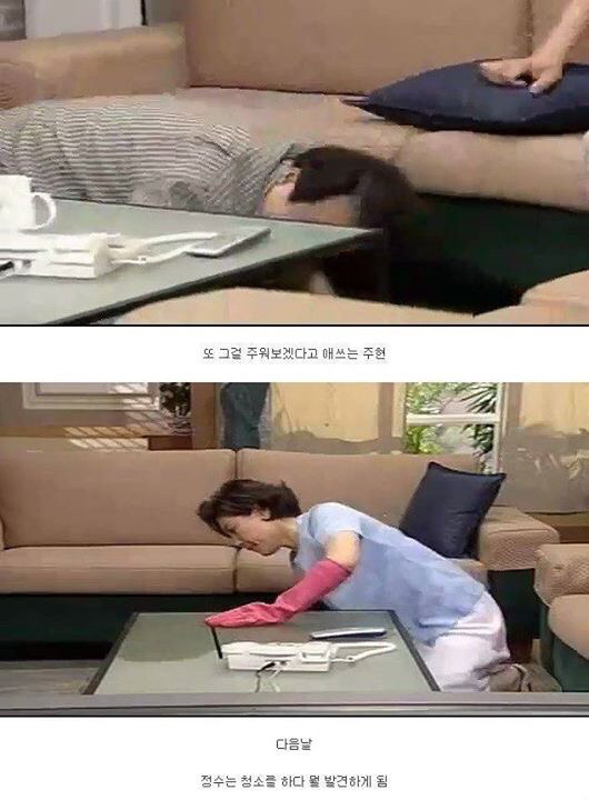 레전드 토끼사건 | 인스티즈