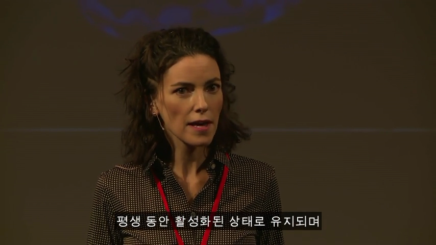 [TED] 왜 약은 종종 여성에게 위험한 부작용이 있는가 | 인스티즈
