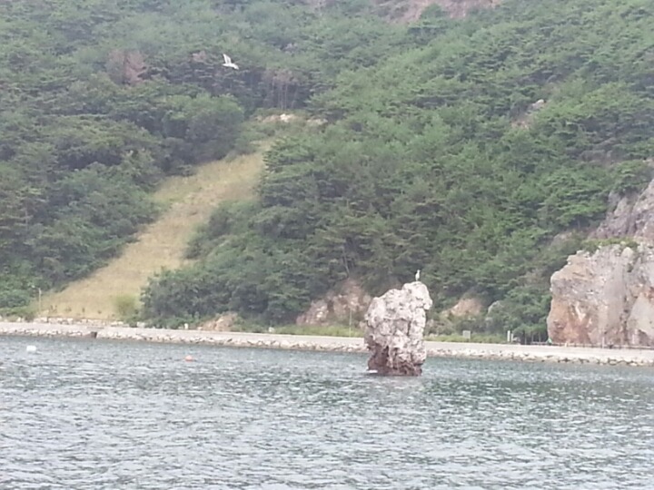 큐싸인 이미지