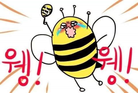 비비씨 이미지