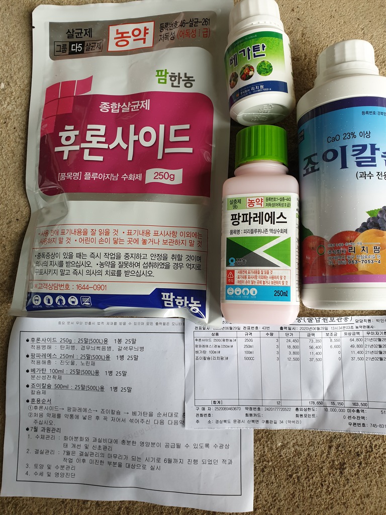 오후5시;사과밭 이미지