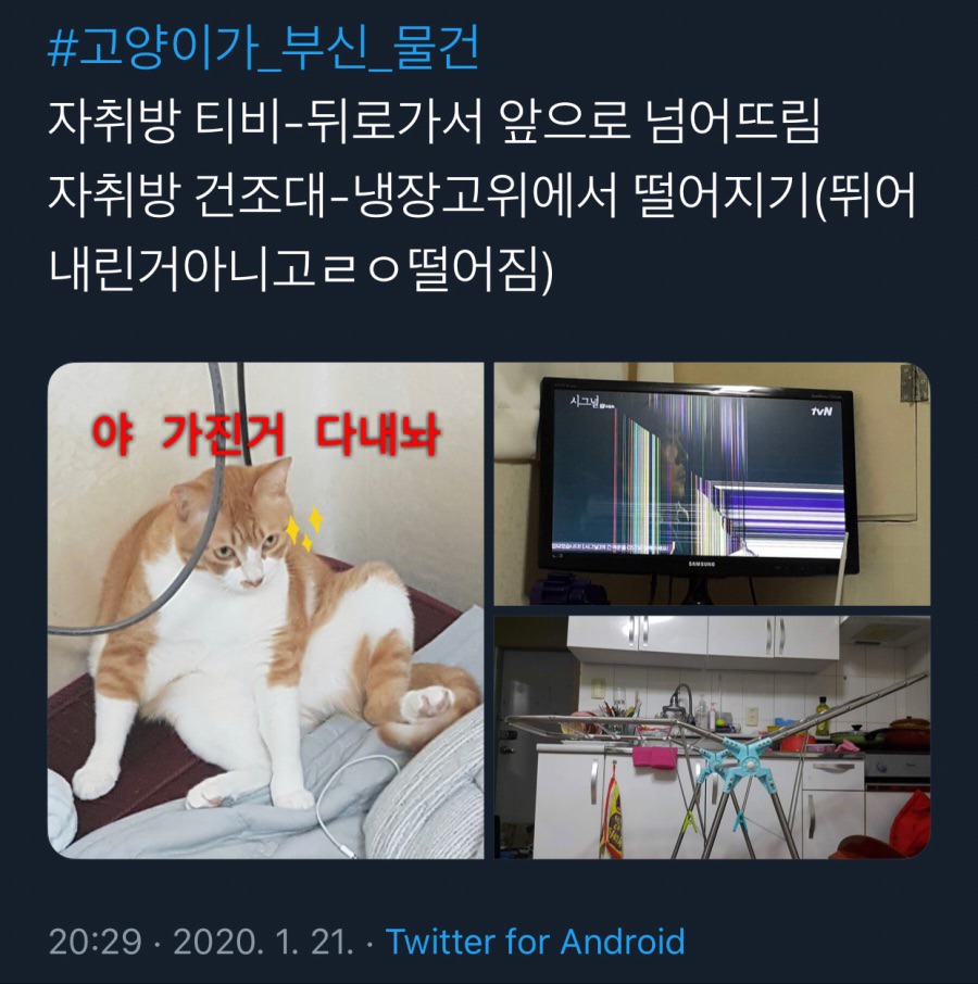 귀엽지 않았으면 멸종당했을 생물.jpg | 인스티즈