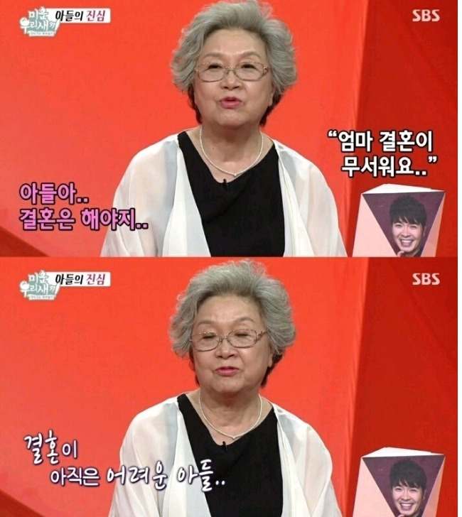 박수홍이 결혼할 생각이 없는이유 | 인스티즈
