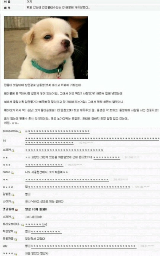 뷔페를 처음가본 디시인 | 인스티즈