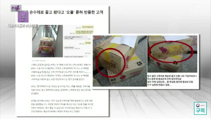 강자에겐 약하고 약자에겐 강한 것이 일상이 된 나라 | 인스티즈