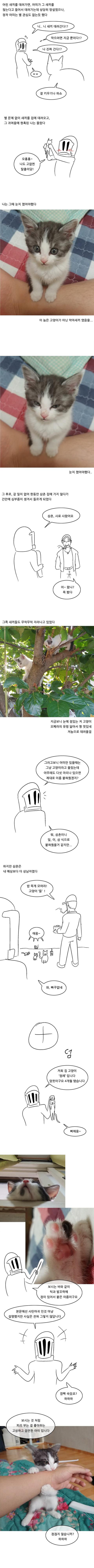 삼촌과 고양이.manhwa | 인스티즈