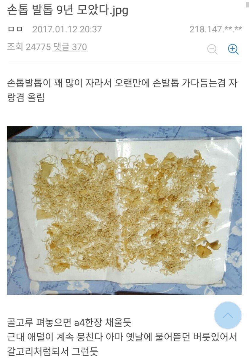 손발톱 모으는 디씨인 | 인스티즈