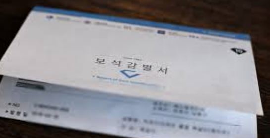 피렌티아노 이미지