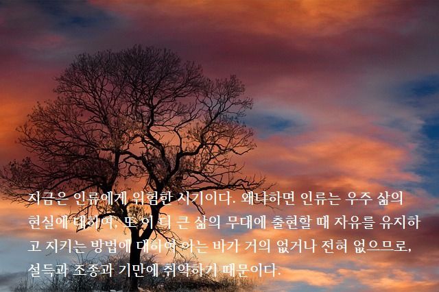 동행자 이미지