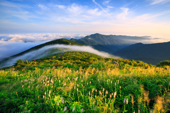 지리산 노고단의 풍경 | 인스티즈