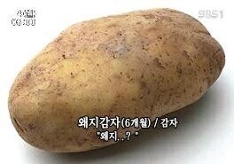 새해기념 베스트커플상 비엘부분 (bl주의) | 인스티즈