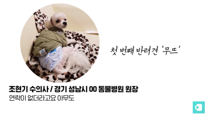 폭염 속 버려진 똘똘이가 모니로 개명한 사연 | 인스티즈