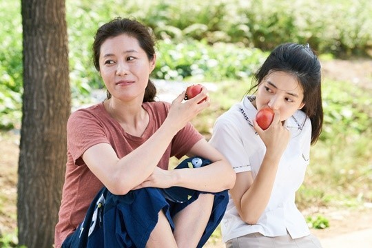 삶에 지친 당신들을 위해 만든 영화 ＜리틀 포레스트 | 인스티즈
