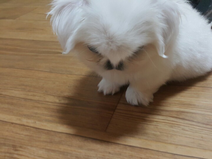쮸쮸 이미지