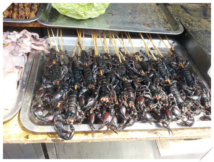 왕부정 이미지