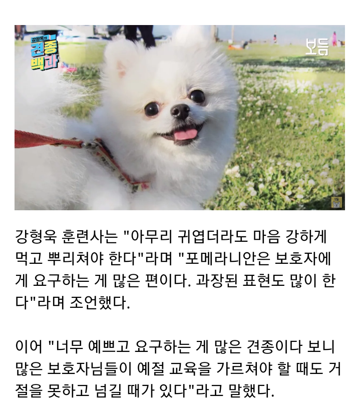 공감 이미지