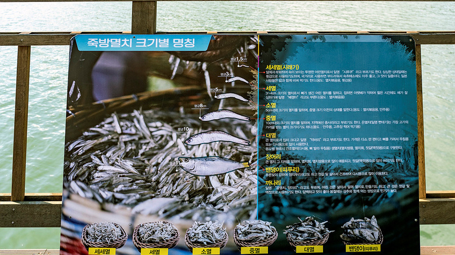 남파랑길 39코스 이미지
