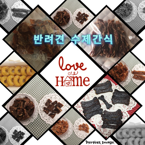 쫑아네 이미지