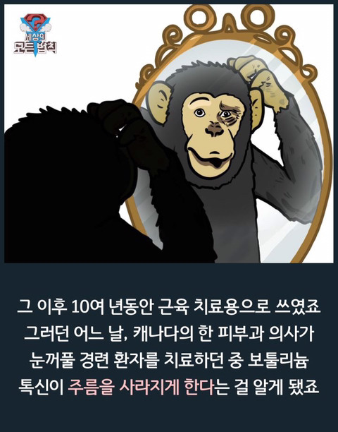 보톡스의 비밀.jpg | 인스티즈