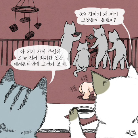 고양이가 애완 인간 키우는 만화 | 인스티즈