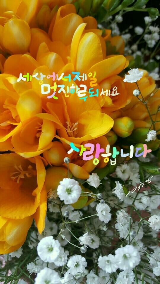 토요일 이미지