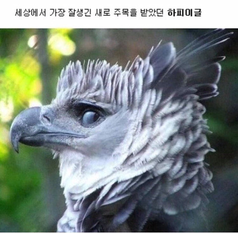 정면 사진 안 찍는 사람 의심해봐야 하는 이유 | 인스티즈