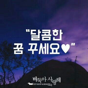 동행자 이미지