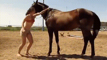 말 조련하는 법.gif | 인스티즈
