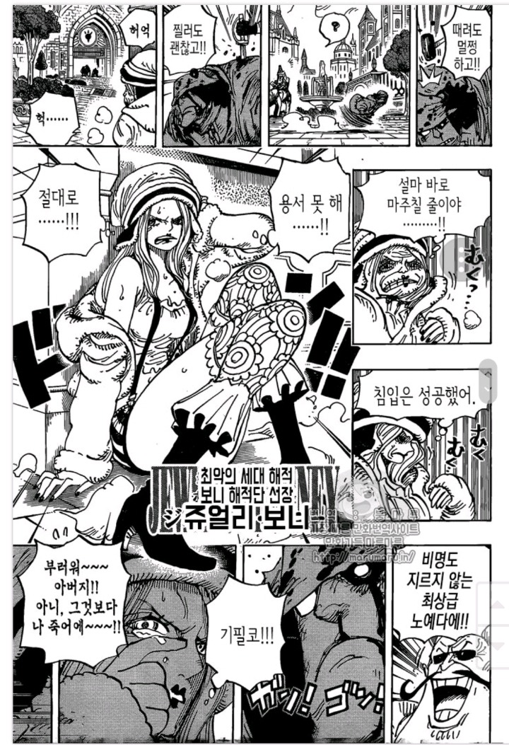 원피스 정체가 궁금한 캐릭터 | 인스티즈