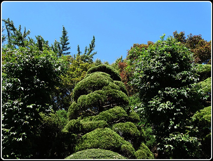베어트리파크수목원 이미지