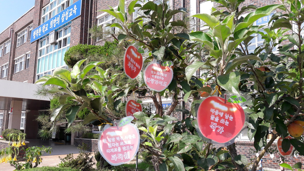 삼성초등학교 이미지