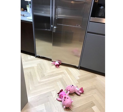 다을이 애착인형 에페교체설에 대한 해명 & 아직도 고통받는 에페와 차별없이 고통받는 뉴에페들 | 인스티즈