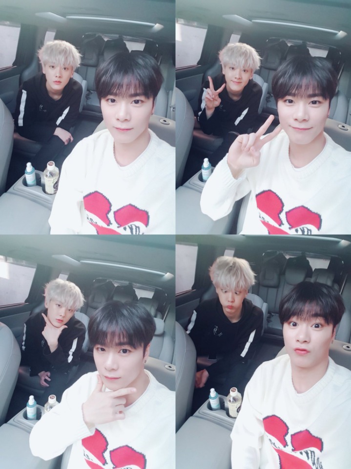 달콩 이미지