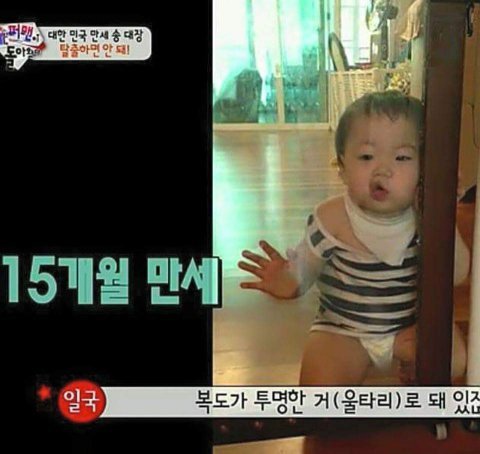 사랑스러운 애깅이들 | 인스티즈