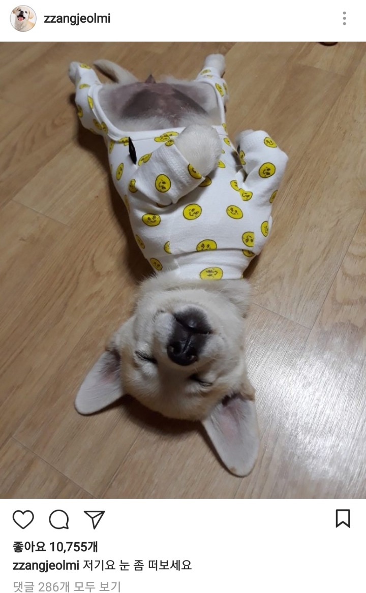 짱절미님 눈 좀 떠보세요 | 인스티즈